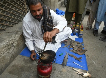 quack aphrodisiac from lizard a hit in pakistan