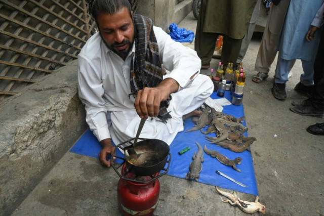 yasir ali sells an oil called sanda tael made from lizard fat that he claims has aphrodisiac properties photo afp