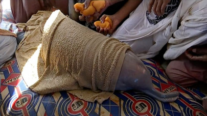 watch dolphin that strayed is moved to sanctuary in pakistan