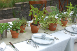 free plants handed out for independence day