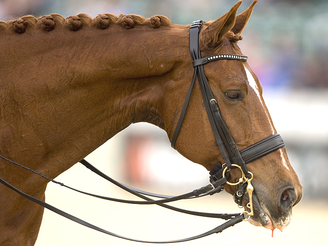 Updated Jan 17, 2011