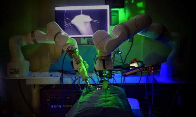 robot successfully performs keyhole surgery on pigs robot successfully performs keyhole surgery on pigs