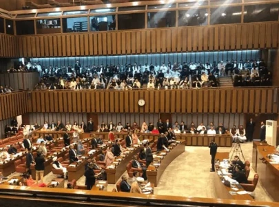 senate exceeds austerity target by 500