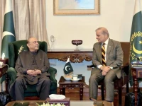president asif ali zardari and prime minister shehbaz sharif interact during a meeting at the presidency photo ppi