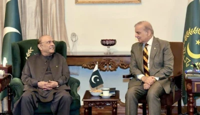 zardari shehbaz call truce on public sparring zardari shehbaz call truce on public sparring
