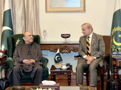 zardari shehbaz call truce on public sparring zardari shehbaz call truce on public sparring