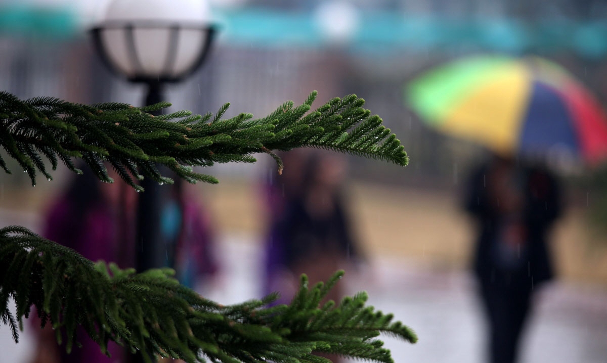 Updated Feb 04, 2013