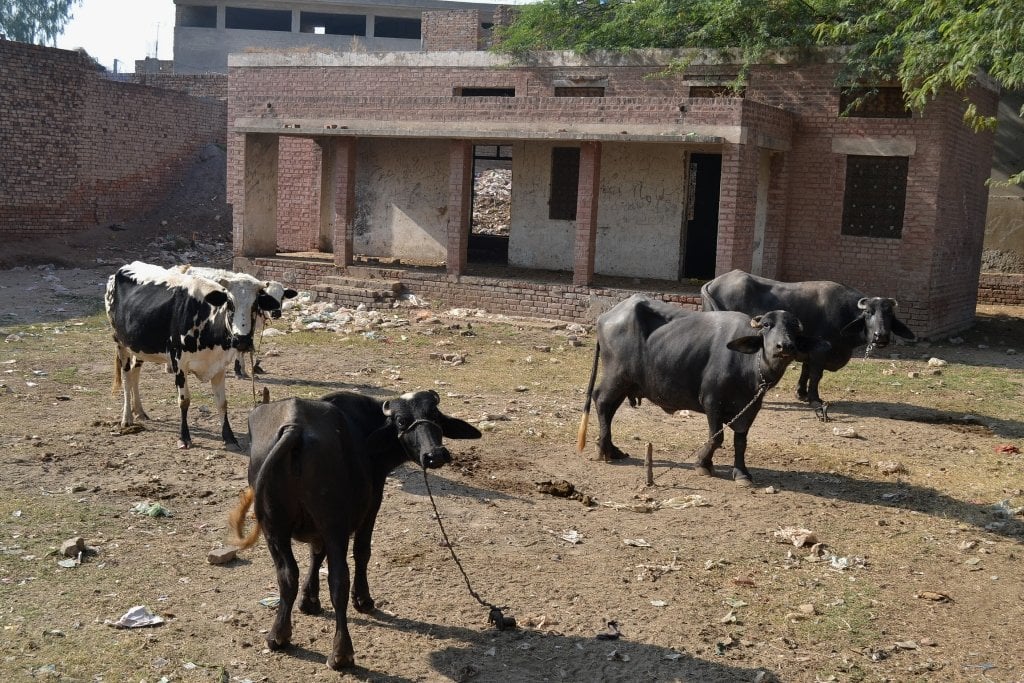 there are animals kept in schools and the buildings have been turned into stables this is what we are doing to our children when education is a constitutional right says chief justice photo express file