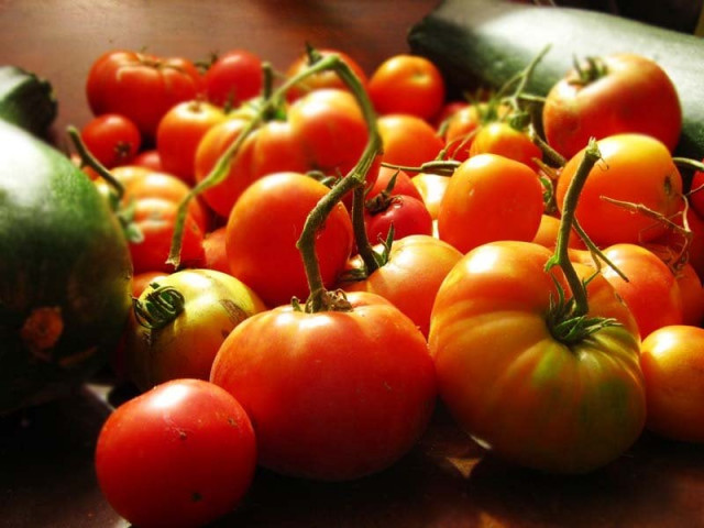 tomatoes rescue heart patients photo file tomatoes rescue heart patients photo file