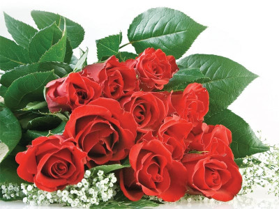 give power to your flowers