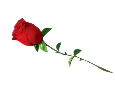 plans abound when it comes to wooing or courting your beloved