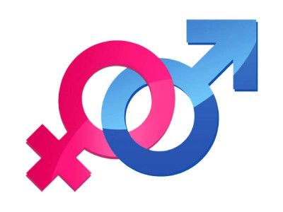 priority subjects media promoting desire to live like celebrities priority subjects media promoting desire to live like celebrities