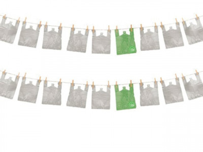 bin the bags bin the bags