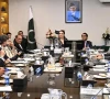 senate panel probes psqca fake licences