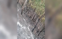 shimla hill faces growing ecological threat shimla hill faces growing ecological threat