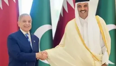 shehbaz tamim urge talks momentum