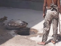six sanitary workers injured in muzaffargarh