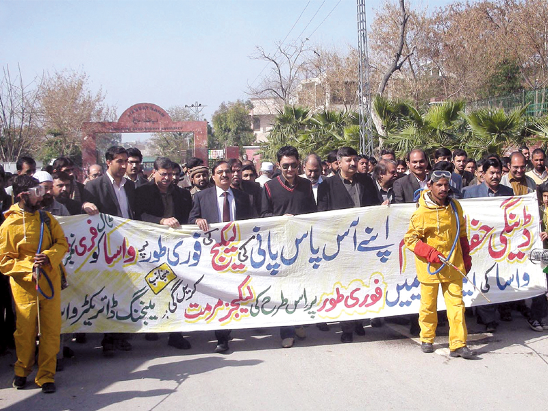 participants of the dengue awareness walk in rawalpindi photo inp