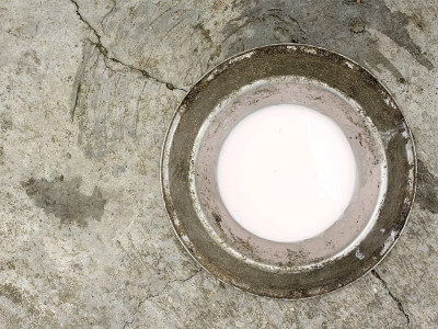 revealing figures more than half of balochistan is poor