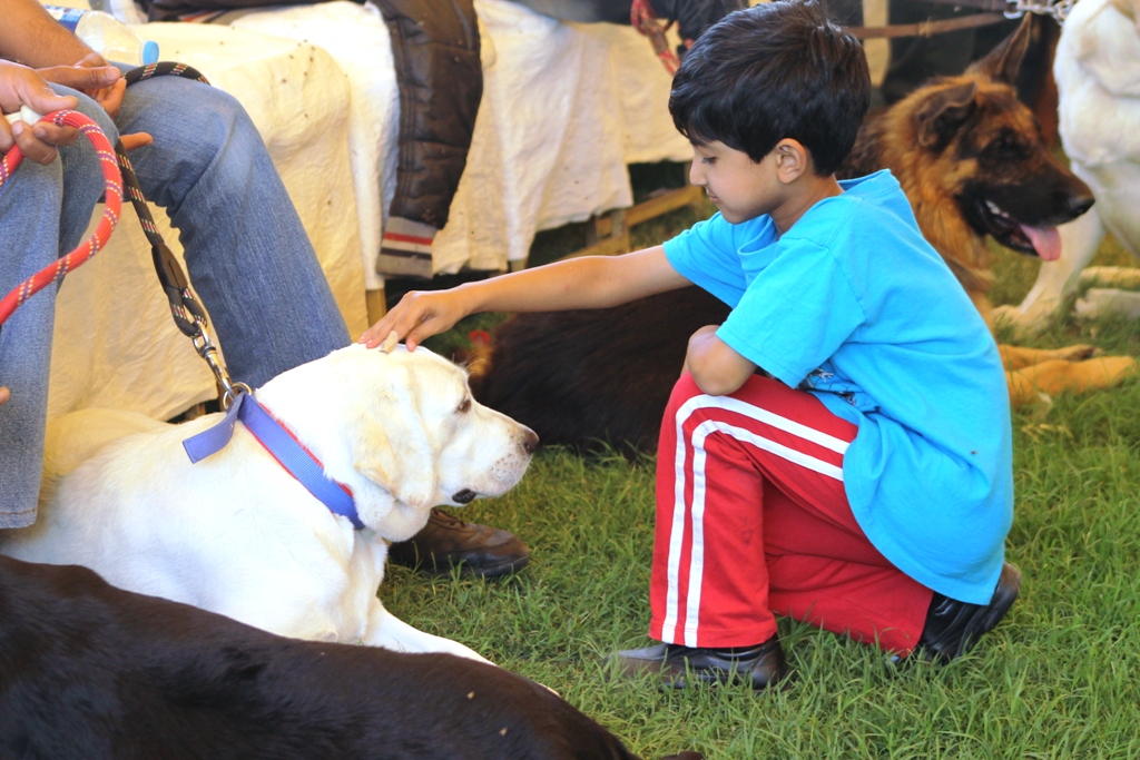 Updated Feb 25, 2013