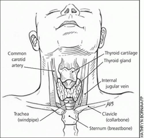 prof umer farooq pointed out that the thyroid condition is the second most common hormonal disorder in pakistan after diabetes photo afp prof umer farooq pointed out that the thyroid condition is the second most common hormonal disorder in pakistan after diabetes photo afp