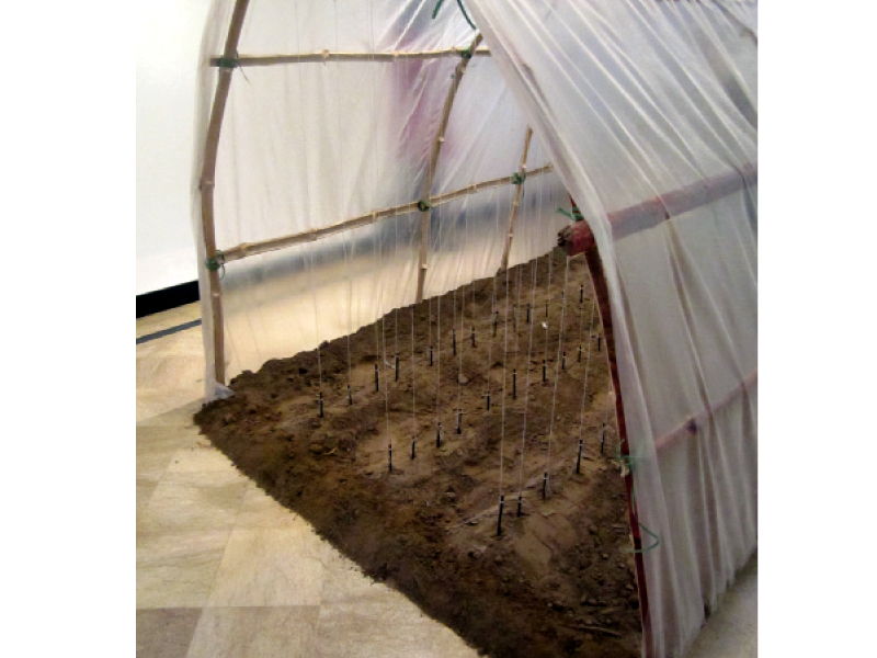 the pencils are planted in the ground under this tent in a manner similar to a green house protecting and allowing education to spread is the idea behind the work says atawar