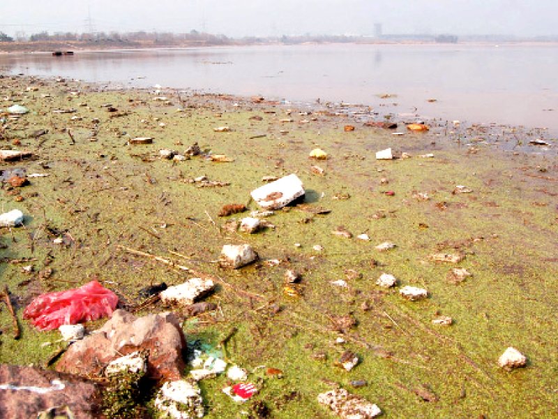 garbage strewn along the lake s bank in late january photo muhammad javaid express