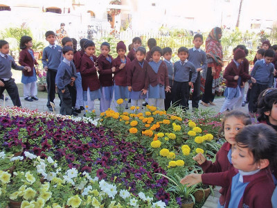 sukkur springs to life flower enthusiast aamir ghouri welcomes the new season sukkur springs to life flower enthusiast aamir ghouri welcomes the new season