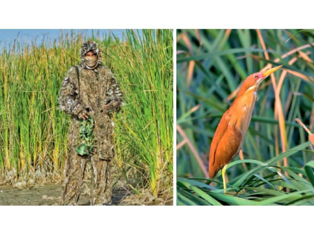 photographer yasir pechuho often makes use of camouflage as he attempts to capture pictures of all the 329 bird species found in sindh photos courtesy yasir pechuho photographer yasir pechuho often makes use of camouflage as he attempts to capture pictures of all the 329 bird species found in sindh photos courtesy yasir pechuho