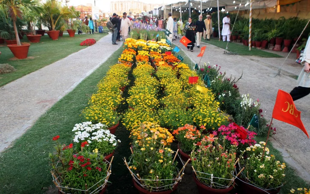 capital hosts two day flower exhibit
