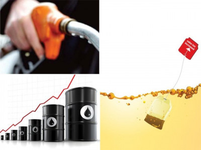 populist decision making