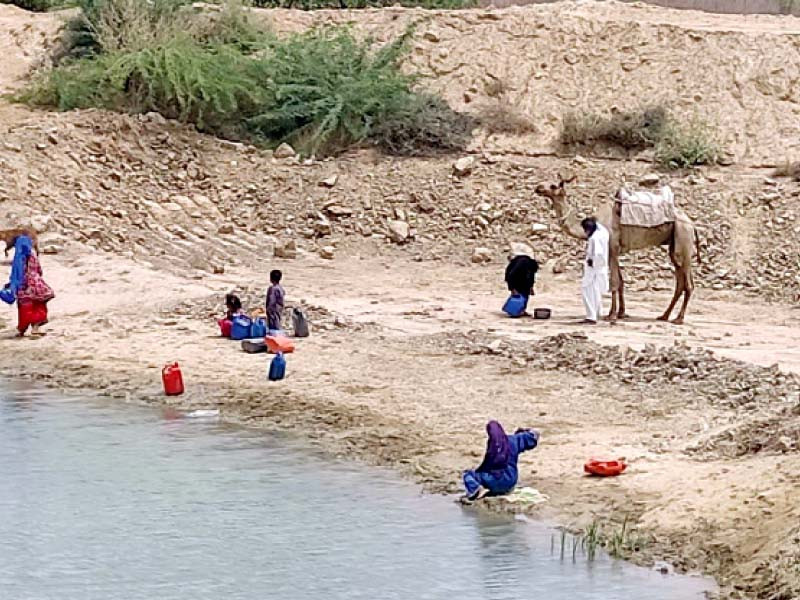 womenfolk collect water from a pond near a village close to the hawke s bay beach owing to absence of water pipeline photo express