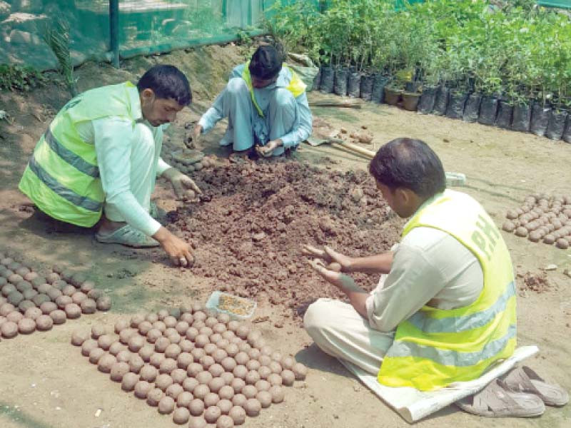 pha employees make soil balls to plant saplings along nullah leh photo express