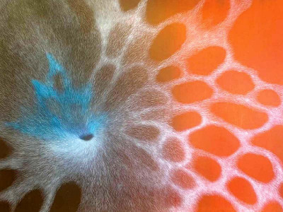 whispers in the void whispers in the void