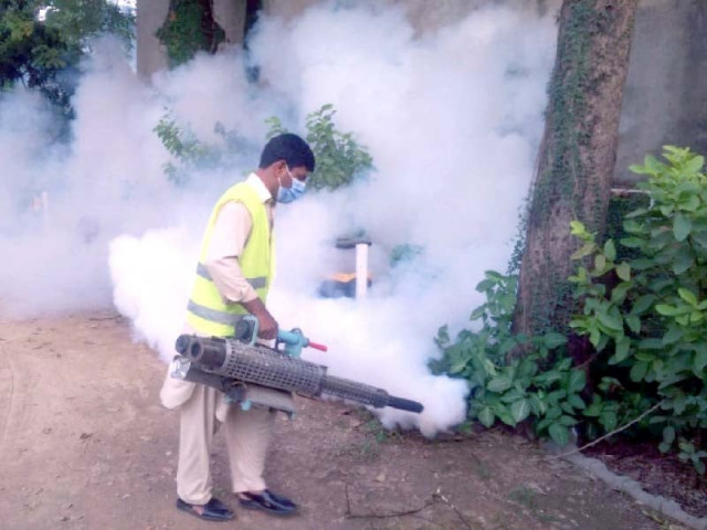 in this file photo a worker of the rawalpindi district health authority carries out anti dengue spray at the rawalpindi press club photo agha mahroz express in this file photo a worker of the rawalpindi district health authority carries out anti dengue spray at the rawalpindi press club photo agha mahroz express