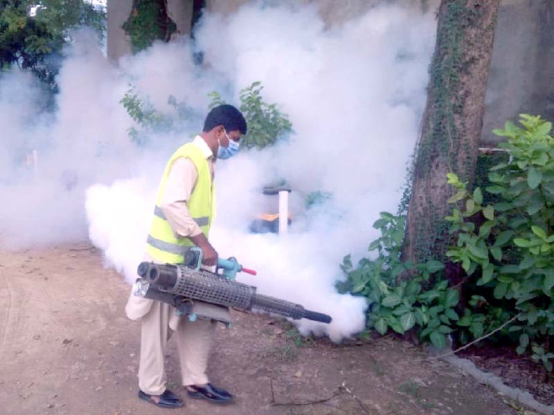 in this file photo a worker of the rawalpindi district health authority carries out anti dengue spray at the rawalpindi press club photo agha mahroz express