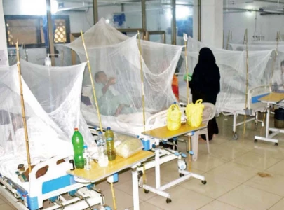 dengue outbreak sets off alarm in di khan