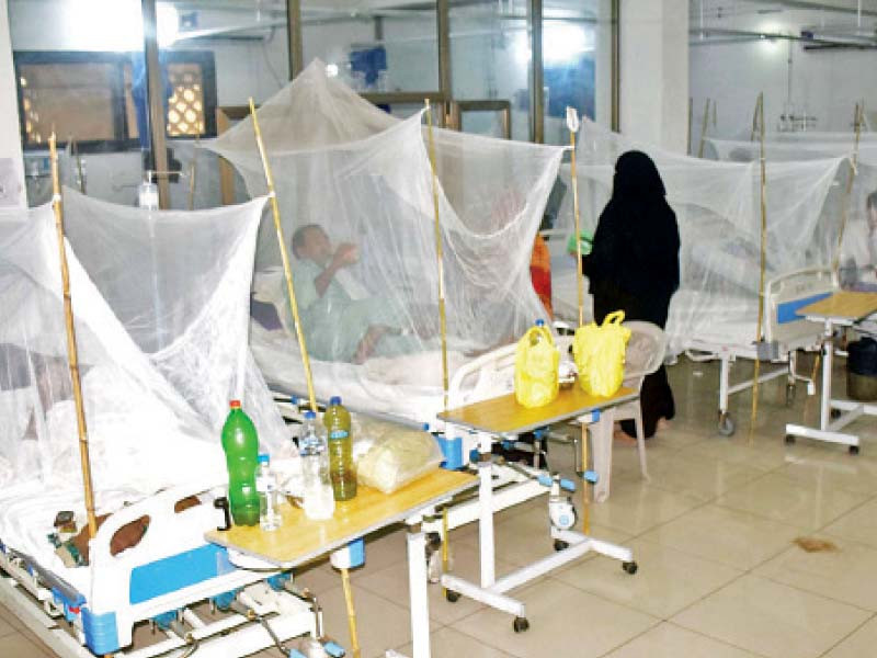 dengue patients receive treatment at the isolation ward of hyderabad civil hospital photo inp