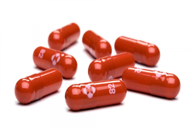 merck s molnupiravir works by decreasing the ability of a virus to replicate thereby slowing down the disease handout merck co inc afp merck s molnupiravir works by decreasing the ability of a virus to replicate thereby slowing down the disease handout merck co inc afp