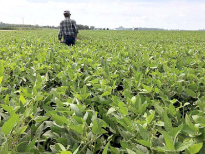 tech advancement to help address agri challenges tech advancement to help address agri challenges