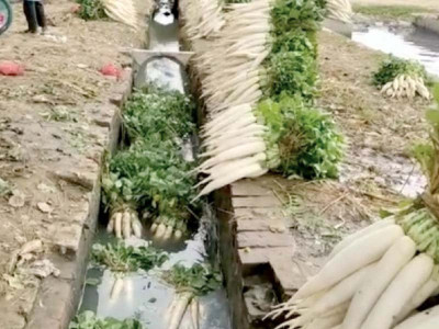 removal of illegal water connections ordered