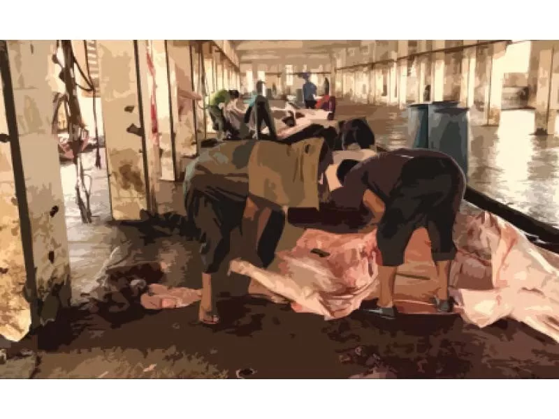 private slaughterhouses become breeding ground for disease private slaughterhouses become breeding ground for disease