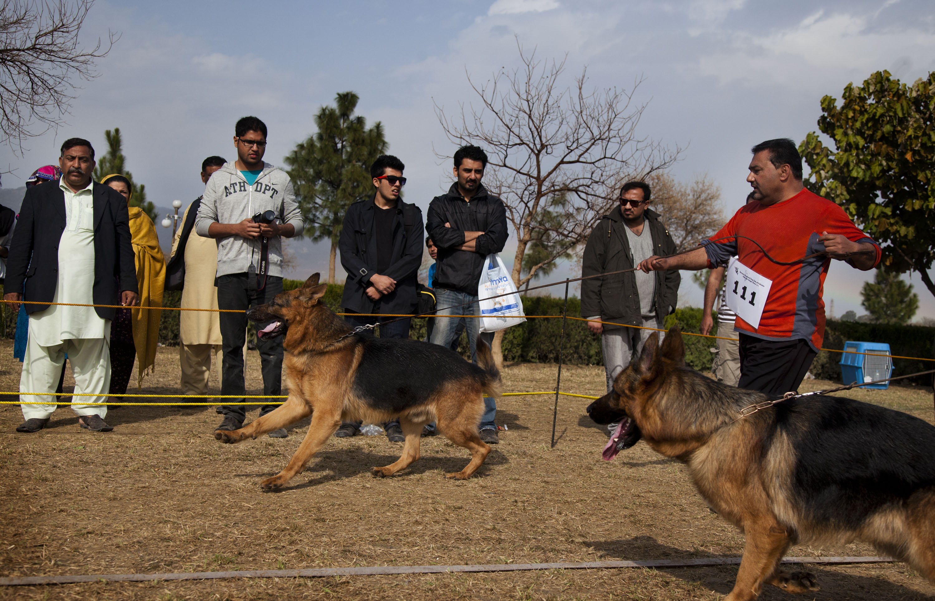 the woman 039 s german shepherd dog saved the woman from her suicide attempt photo myra iqbal file