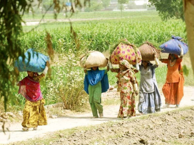 poverty rate may go up by 3 7 4 poverty rate may go up by 3 7 4