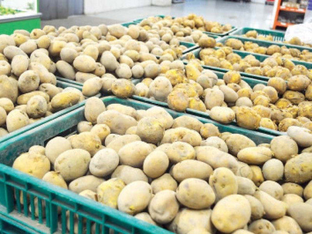 culture lab to boost potato output culture lab to boost potato output