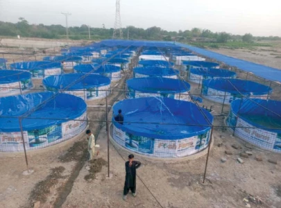 biofloc tech for fish farming comes to sindh