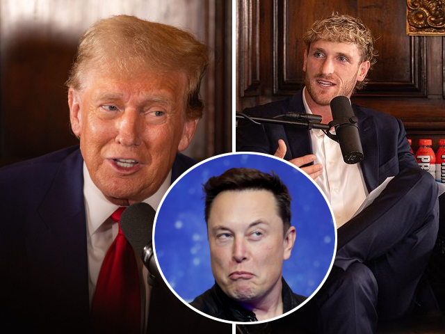 trump praises elon musk s innovation trump praises elon musk s innovation