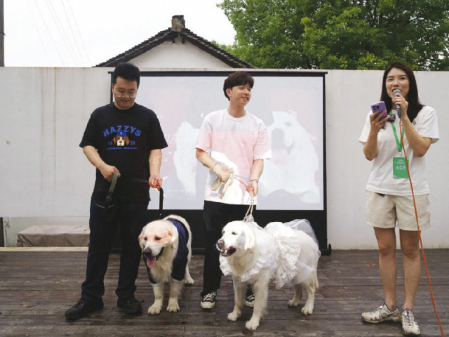if distributed evenly across china s urban population roughly one in eight chinese people own a cat or a dog photo file