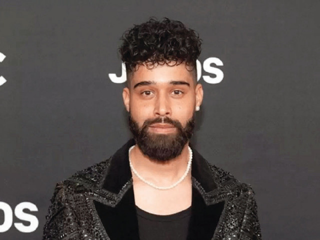 these threats appear to be connected to dhillon s recent collaboration with bollywood actor salman khan in the music video for old money photo file