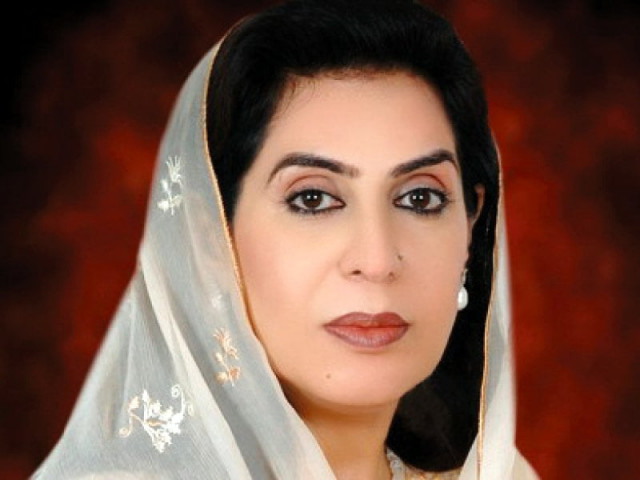 fehmida mirza photo file fehmida mirza photo file